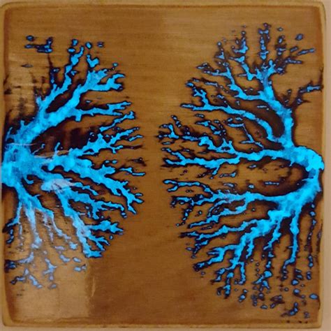 High Voltage, Wood And Resin Result In Fractal Art | Hackaday