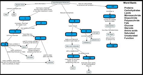 Lipids Concept Map Answers_ – Map Of Us Topographic