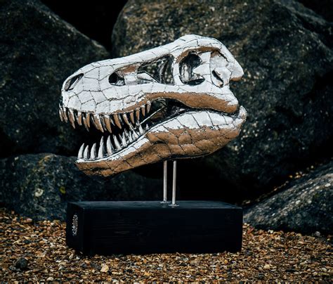 T-Rex Skull - Michael Turner Art and Sculptures for your home