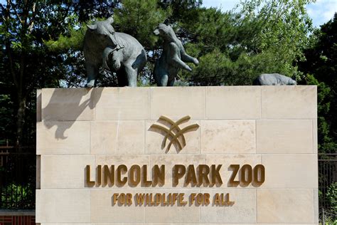 Chicago's Lincoln Park Zoo Was Not Looted and There Are No Hippos on Lake Shore Drive - Newsweek