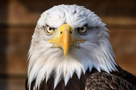 Premium AI Image | a bald eagle with a yellow beak and a white beak.