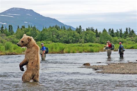 Alaska Fishing Lodges - Fly Fishing Alaska