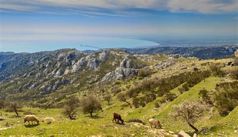 Gargano National Park