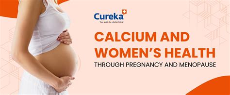 Calcium and Women’s Health Through Pregnancy and Menopause - Cureka - Online Health Care ...