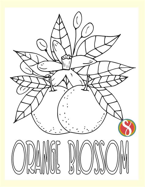 Free Orange Blossom Coloring Pages — Stevie Doodles