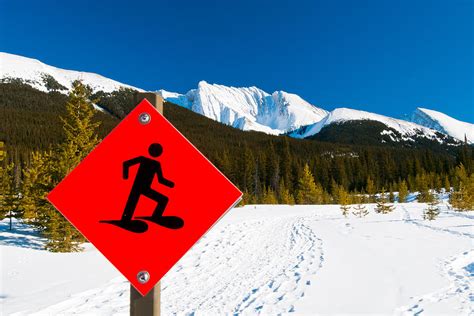 Snowshoe Trails Photograph by Brandon Smith - Fine Art America