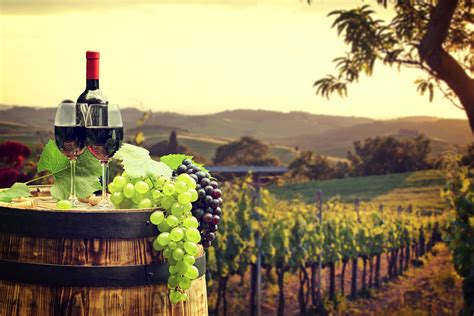 Vineyard Wallpapers - Top Free Vineyard Backgrounds - WallpaperAccess