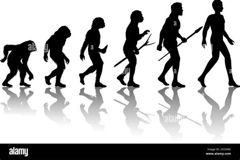 Man evolution. Silhouette progress growth development. Neanderthal and ...