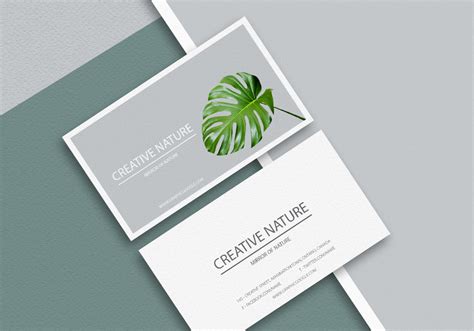 Free Letter Head and Business card Mockup PSD