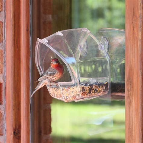 Birdscapes Clear Window Wild Bird Feeder