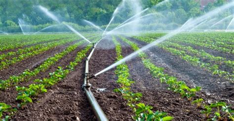 Micro Irrigation System Market Size, Trends and Forecast to 2032