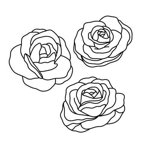 Simple Contour illustration of rose flower collection. Doodle flowers ...