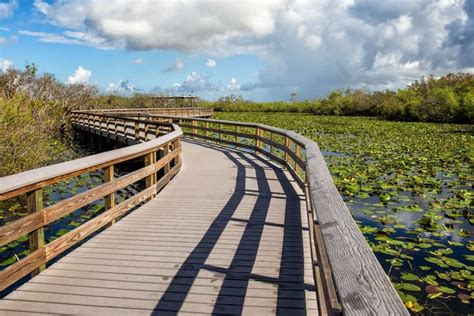 Top 10 Things to do in Everglades National Park 2020 | Bookonboard