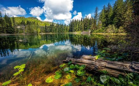 Hadikin Lake Vancouver Island Carmanah Walbran Provincial Park Canada Landscape Wallpaper For ...