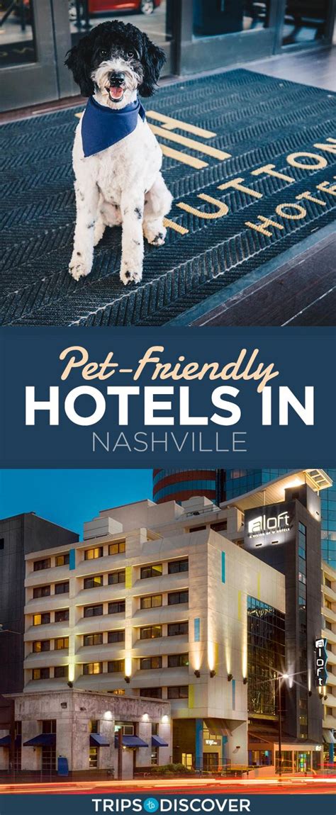 9 Pet-Friendly Hotels in Nashville Your Dog Will Love | Pet friendly hotels, Dog friendly hotels ...