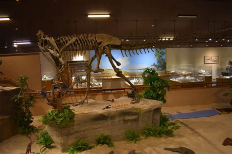 Dakota Dinosaur Museum – Daniel H Thompson