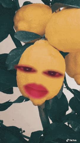 Animation Lemon GIF - Find & Share on GIPHY