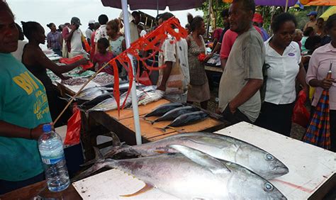 Sustainability progress should precede seafood market access ...