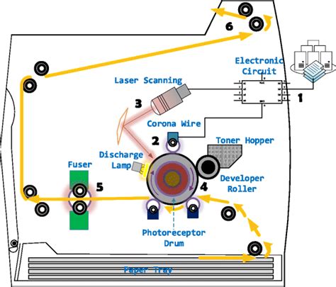 Laser Printer Parts Name And Their Functions | Reviewmotors.co