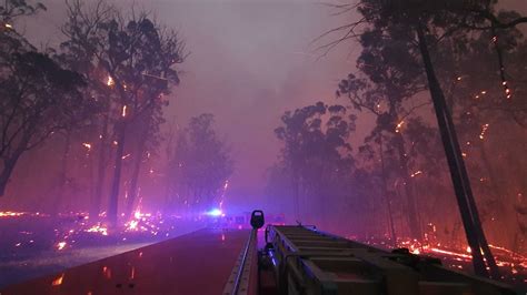 Conservation efforts may have worsened catastrophic bushfires in south-east Australia, study ...