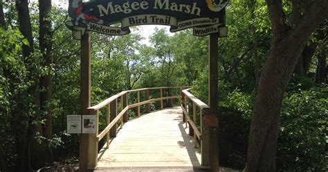 Magee Marsh boardwalk upgrades coming