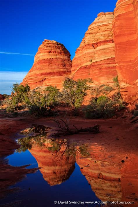 South Coyote Buttes - ActionPhotoTours.com