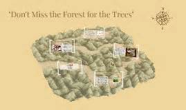 Don't Miss the Forest for the Trees by Allison Phillips on Prezi