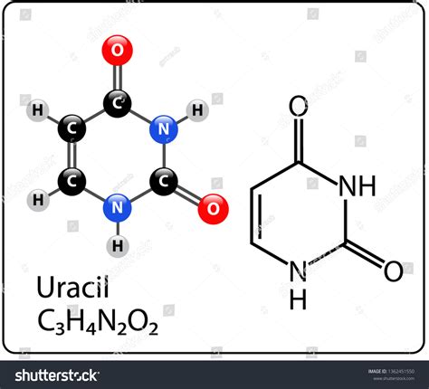 Uracil