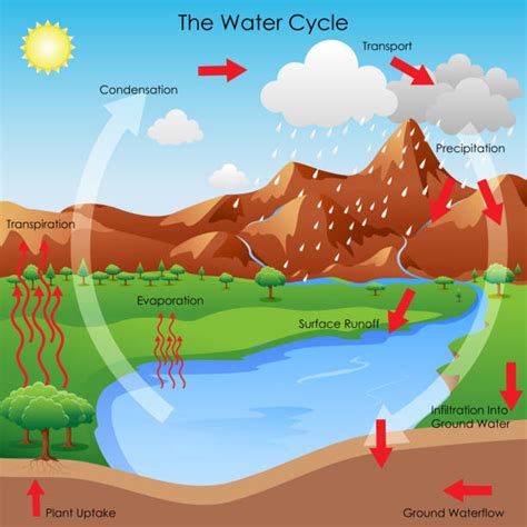 150+ Water Cycle Condensation Stock Illustrations, Royalty-Free Vector Graphics & Clip Art - iStock