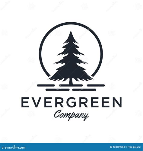 Evergreen / Pine Tree Logo Design Inspiration - Vector Stock ...