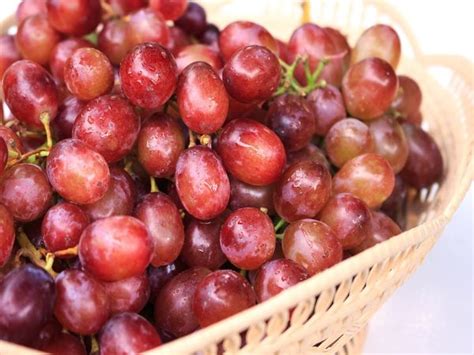 Red globe grapes can help improve immunity and skin health: 6 health benefits of the fruit ...