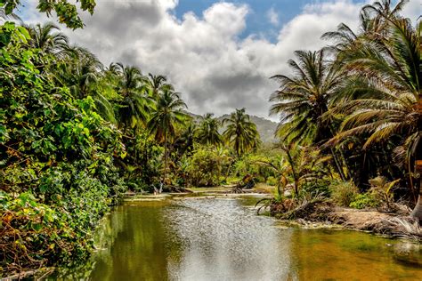 Peace is not necessarily good for Colombian forests - Earth.com