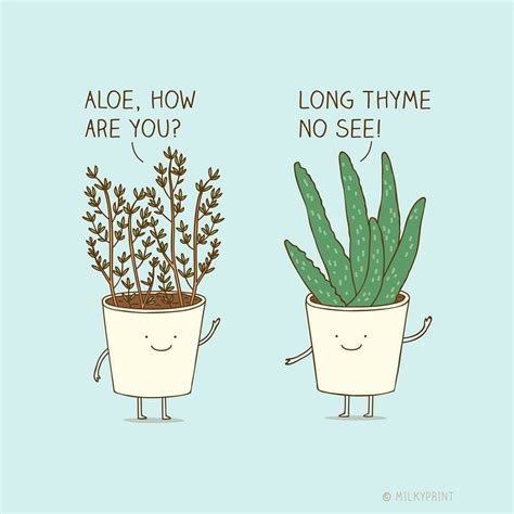 Funny Pun: Plant Humor Punny Puns, Cute Puns, Cute Jokes, Funny Jokes, Hilarious, Kid Jokes ...