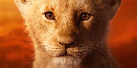 Lion King 2019's Simba vs Scar Fight Assessed For Realism By Cat Expert