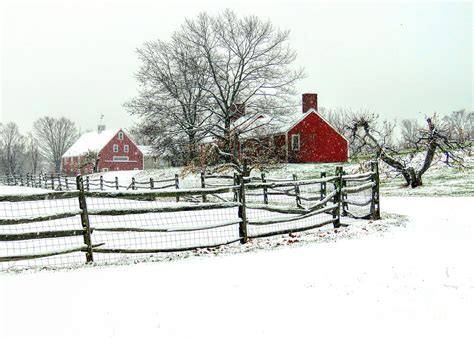 Snowy day in Hollis NH Photograph by Janice Drew - Pixels