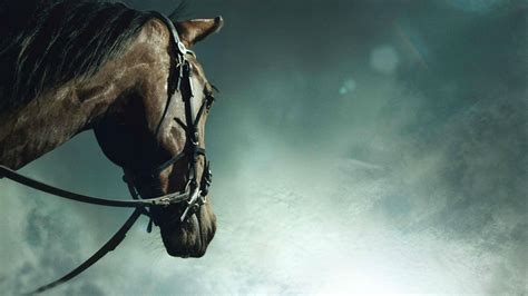 Horse Racing Wallpapers - Wallpaper Cave