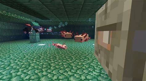 Minecraft axolotl guide: Everything you need to know | PC Gamer