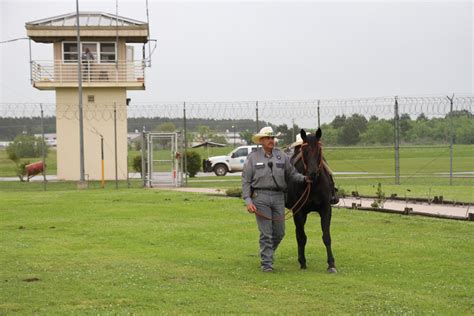 In remembrance: Fallen TDCJ correctional officers honored at Hightower Unit ceremony ...