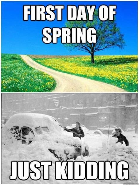 Funny 2024 Spring Memes to Welcome Warmer Weather - Lola Lambchops