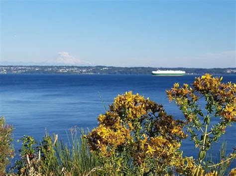 Maury Island Marine Park (Vashon) - 2020 All You Need to Know BEFORE You Go (with Photos ...