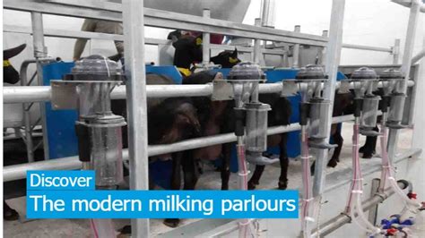 Dairy Farm Solutions - The Micro Dairy - Dairy Equipment Suppliers