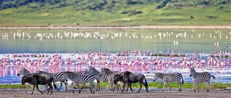 Ngorongoro Safari in Tanzania with Safari World Africa