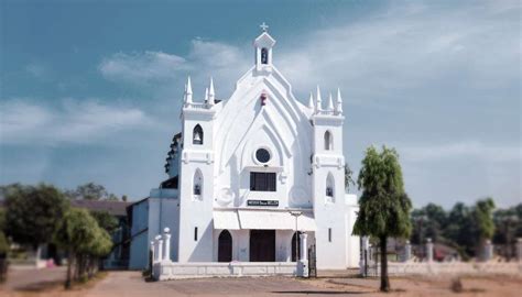 Best Churches in Goa | Famous Churches in Goa | Churches in Goa