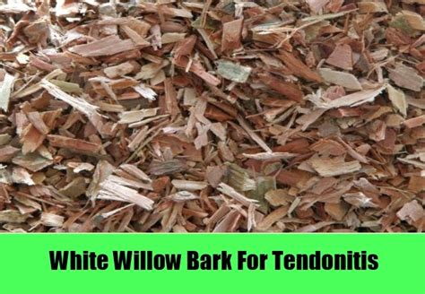 White Willow Bark Tea Benefits ~ Healthy Tea 101