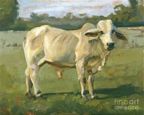 Brahma Bull Painting by Blair Updike - Fine Art America