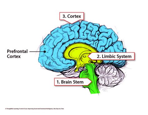 Thoughtful Learning Blog | Thoughtful Learning K-12