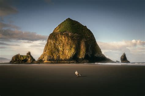 Exploring the Oregon Coast on Behance