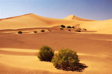 Rub' al Khali desert, Dubai