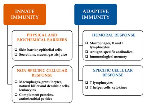 Innate Immunity Physical Barriers