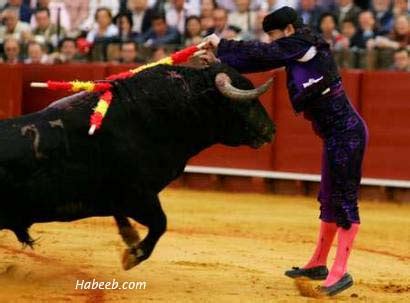 Matador Bullfight Photos